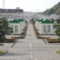 観桜期の緩速浄水井上屋