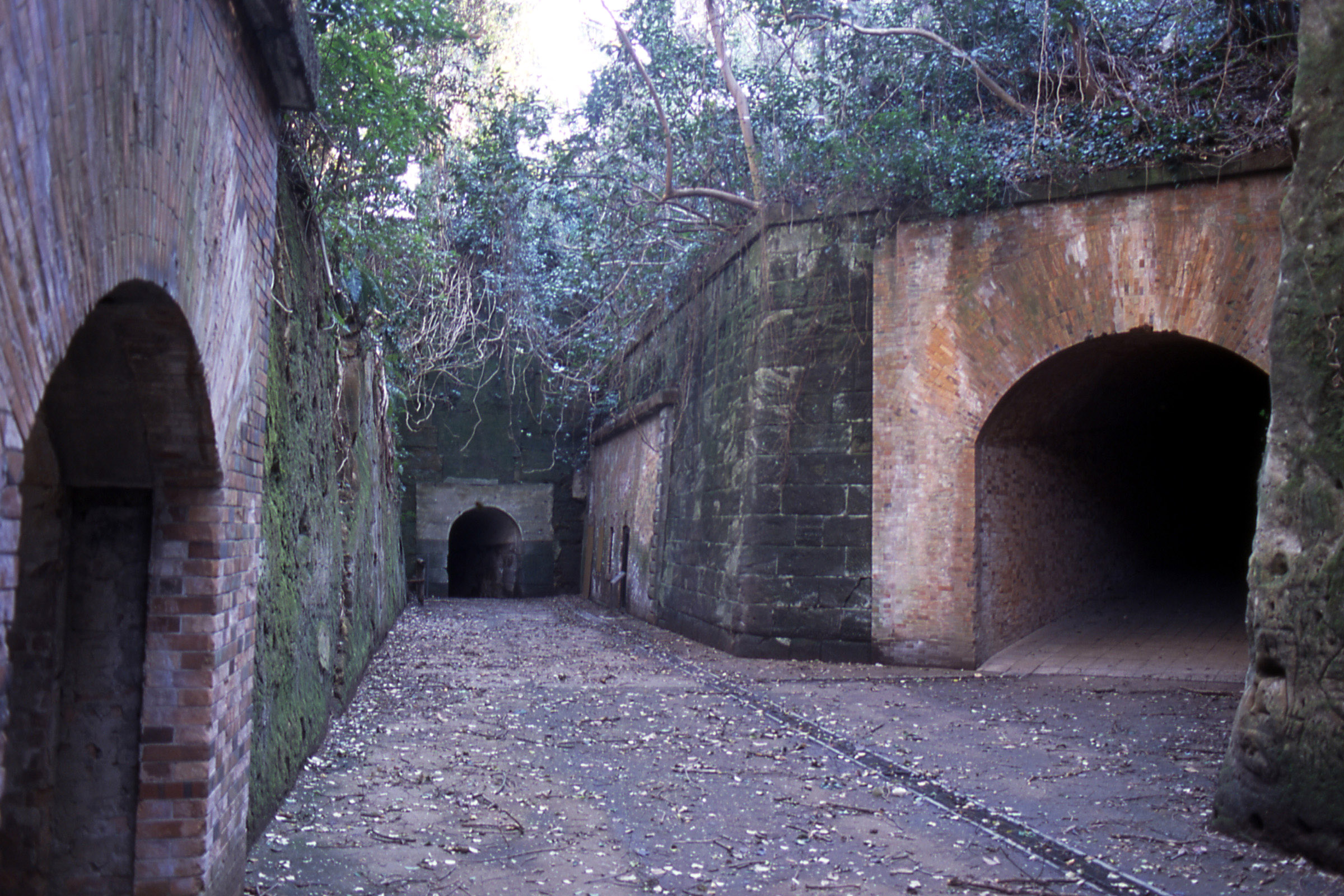 猿島砲台跡（切通とトンネル）