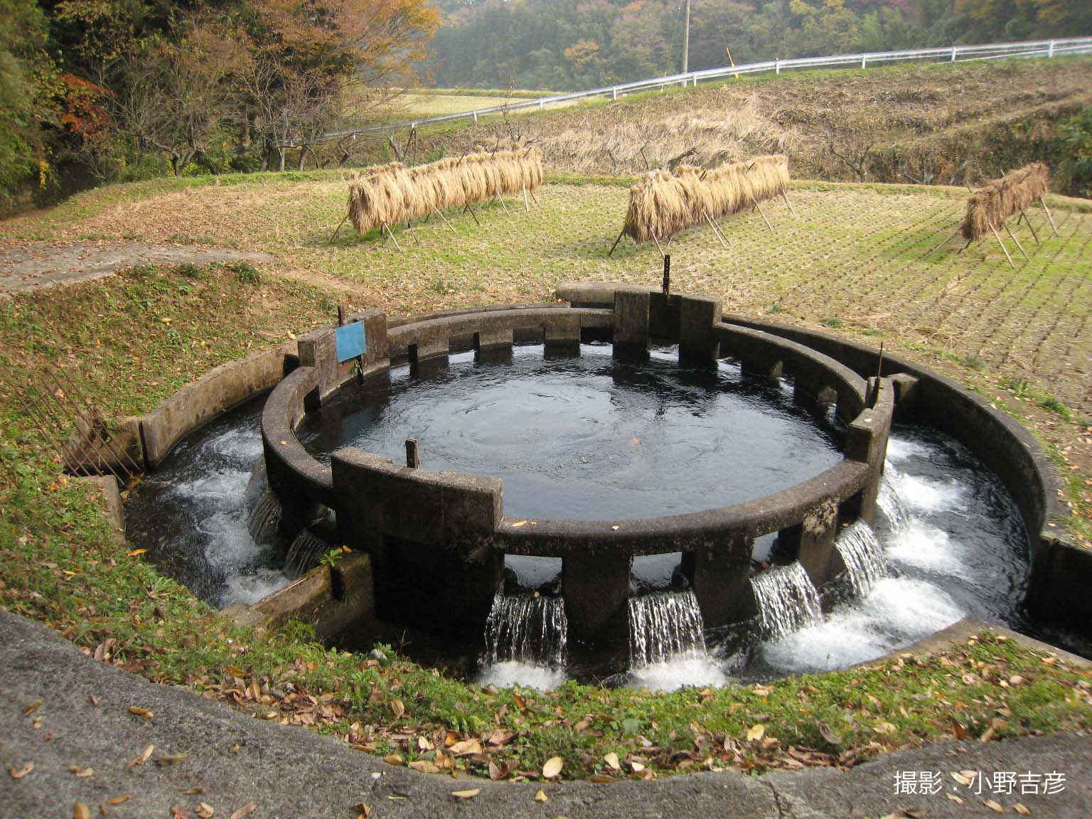 音無井路十二号（円形）分水