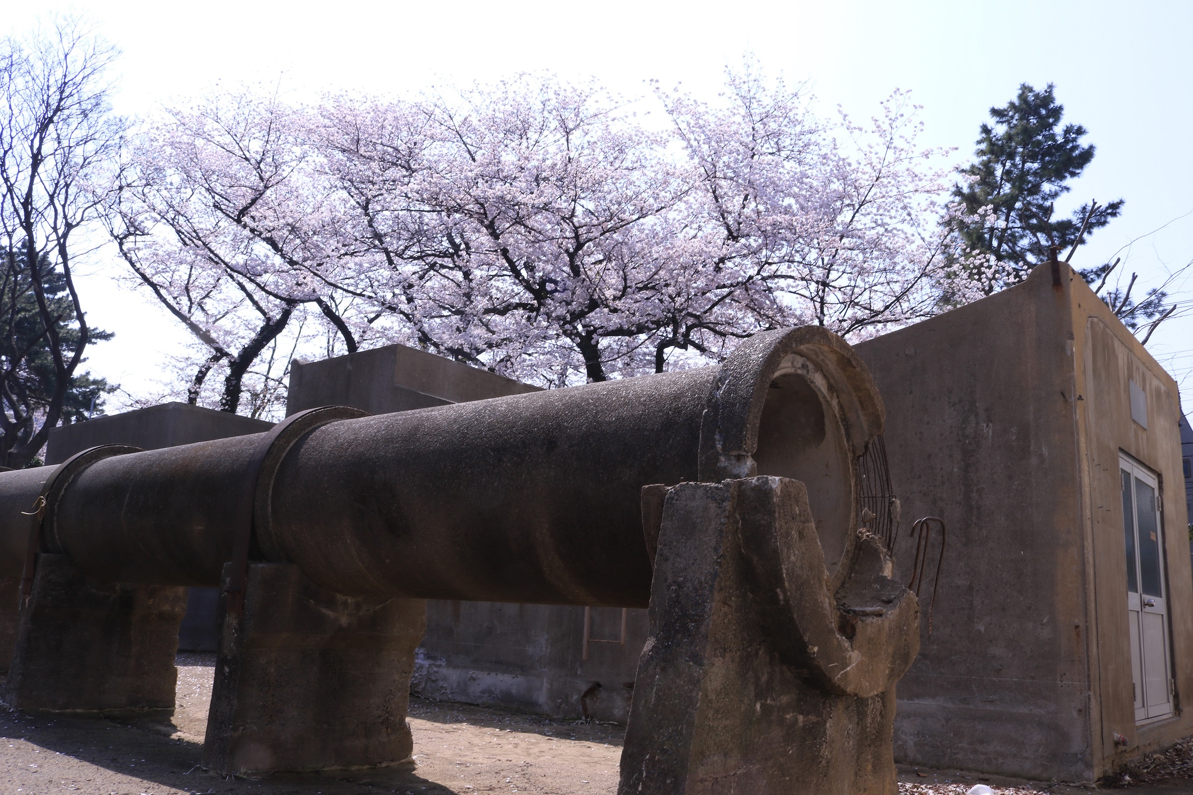 陸軍板橋火薬製造所跡（特別公開）